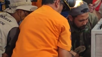 Macan Tutul Masuk Balai Desa, Warga Kuningan Panik!