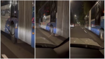 Ular Sanca Nebeng di Busway Gandeng, Bikin Geger Pengguna Jalan!