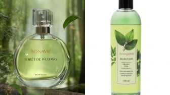 5 Rekomendasi Parfum Murah Aroma Teh Hijau: Wangi Segar, Tahan Lama, Mulai Belasan Ribu