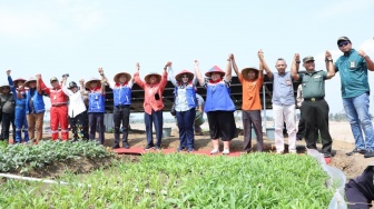 Pertamina Dorong Ketahanan Pangan, Energi Bersih Aliri 25 Ha Lahan Pertanian Warga Kalijaran