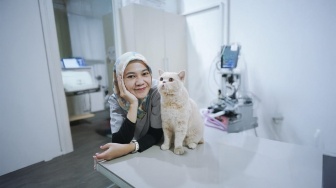 Mesti Tahu, Ini Pentingnya Suplemen Nutrisi dalam Perawatan Hewan Peliharaan