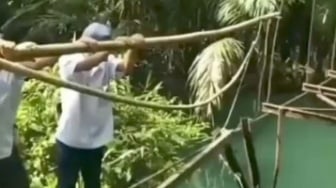 Viral Jembatan Rusak Tanggamus: Anak Sekolah Bertaruh Nyawa, Ini Respons Pemprov