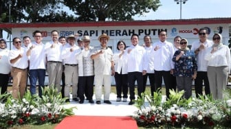 Dukung Program Sapi Merah Putih, BRI: Sejalan dengan Misi Hadir di Tengah Masyarakat