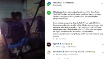 Rumah Uya Kuya dan Eko Patrio Dijarah, Gimana Nasib Anabul yang Jadi Korban?