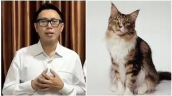 Update Eko Patrio: Dicopot dari DPR, Warga Adopsi Kucingnya yang Ditinggal