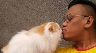 Jarah Rumah Uya Kuya, Massa Angkut TV, Dispenser hingga Kucing Puluhan Juta