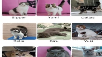 Gondol Kucing saat Rumah Uya Kuya Dijarah Massa, Seorang Anak Resmi Tersangka!