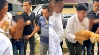 Ngaku Jual Daging Kambing Muda, Pria di Sumsel Tega Jagal Ratusan Kucing