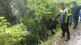 Angkot Masuk Jurang di Dairi, 3 Penumpang Luka-luka