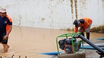 Pesisir Barat Diterjang Banjir: 90 Rumah Terendam, Ketinggian Air Hingga 3 Meter