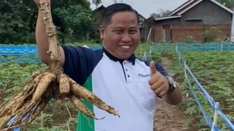 Cek Fakta: Narji Cagur Punya Lahan 1000 Hektar, Seperempat Wilayah Pekalongan