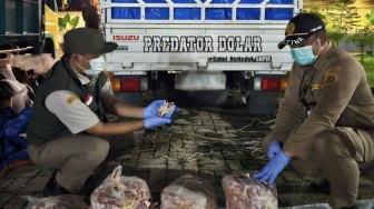 10,8 Ton Ceker Ayam Ilegal Digagalkan di Lampung!