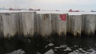 Penampakan proyek tanggul beton di perairan Cilincing, Jakarta, Jumat (12/9/2025). [Suara.com/Alfian Winanto]