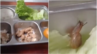 Viral Ada Siput Terekam di Menu MBG, Netizen: Makan Bareng Gary, Escargot Mahal