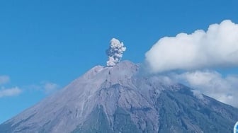 Gunung Semeru Erupsi 4 Kali, Waspada Awan Panas & Lahar Hujan