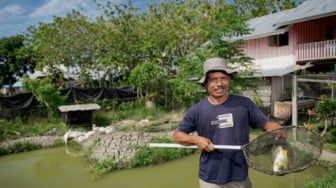 Berdayakan Petani Lokal, Harita Nickel Upayakan Ekonomi Berkelanjutan di Pulau Obi