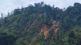 Tambang Ilegal Ditertibkan, Ratusan Hektare Lahan Kembali ke Negara