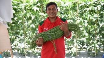 Lahan Jadi Sekolah: Petani Muda Kebumen Ini Ubah Pertanian Jadi Ajang Berbagi Ilmu