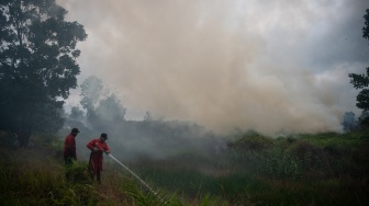 Petugas dari Manggala Agni Daops Banyuasin berupaya melakukan pemadaman kebakaran lahan yang terjadi di sisi gerbang tol rambutan Jalan Tol Trans Sumatera (JTTS) ruas Palembang-Indralaya (Palindra) di Desa Rambutan, Ogan Ilir (OI), Sumatera Selatan, Minggu (21/9/2025). [ANTARA FOTO/Nova Wahyudi/bar]