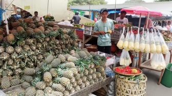 Manfaatkan KUR BRI, Omzet UMKM Nanas di Lampung Ini Meningkat Pesat