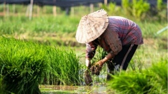 Hari Tani Nasional: Ini Sejarah dan Makna yang Perlu Kamu Tahu