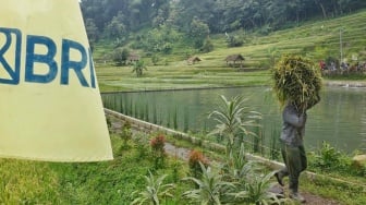 Hari Tani Nasional, Momentum bagi BRI untuk Memperkuat Peran dalam Mendukung Sektor Pertanian