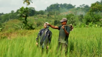 Hari Tani Nasional, BRI Dukung Sektor Pertanian melalui Akses Pembiayaan dan Pemberdayaan Inklusif