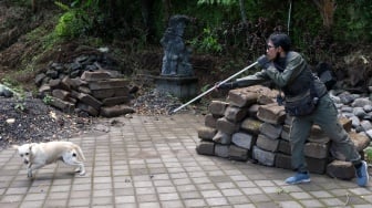 Setelah Kasus Gigitan Anjing Rabies, Tabanan Evakuasi Anjing Liar