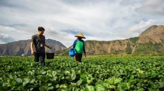 Dukung Pertanian, BRI Berkomitmen agar Petani Dapat Tumbuh lebih Produktif