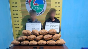 Polres Pasaman Gagalkan Penyelundupan 15 Paket Besar Ganja, 2 Pelaku Asal Padang Dibekuk