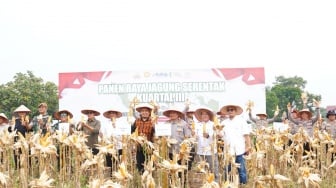 127 Hektar Lahan Jagung Dipanen, Begini Strategi Polda Riau