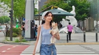 Sabrina Chairunnisa Boyong Chanel ke Korea Selatan, Apakah Naik Pesawat Boleh Membawa Hewan?