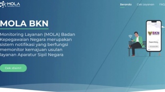 Cek NI PPPK di Mola BKN Terkendala Error? Ini Solusinya