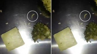 Penampakan Ulat di Sayur Brokoli MBG Siswa SD Makassar