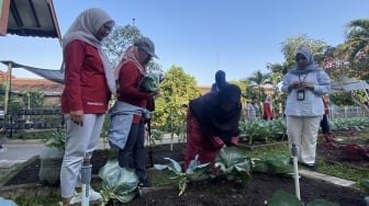 Dari Lorong Sempit Jadi Ladang Rezeki: Kisah Emak-Emak Rejosari Ubah Kampung Jadi Produktif di Jogja