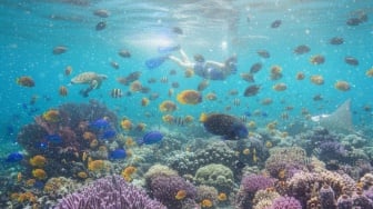 Kumpulan Prompt Edit Foto Biasa Jadi Snorkeling Lebih Real