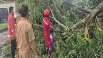 Tim Damkarmat Lampung Selatan Berjibaku Singkirkan Pohon Tumbang di Jalinsum
