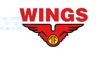 Wings Group Buka Lowongan Kerja untuk Berbagai Posisi Menarik, Cek Sekarang