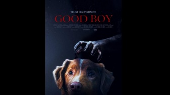 Review Film Good Boy: Horor dari Sudut Pandang Seekor Anjing yang Setia