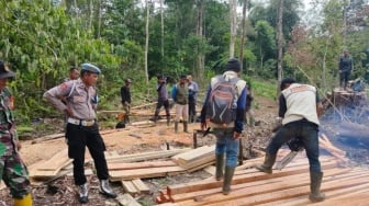 BKSDA Sumbar Ungkap Pembalakan Liar di Cagar Alam Maninjau, Kayu Ilegal Dimusnahkan!
