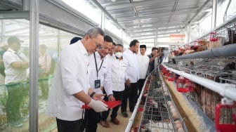 Menko Zulkifli Hasan Panen Ayam Petelur, Apresiasi PNM Bangun Ketahanan Pangan Desa