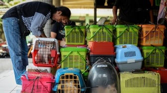 Petugas mendata hewan peliharaan untuk disuntikkan vaksin rabies dan sterilisasi di Jakarta, Sabtu (11/10/2025). [ANTARA FOTO/Putra M. Akbar/rwa]