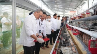 Menko Pangan Zulkifli Hasan Panen Brokoli hingga Ayam Petelur di Rumah Pangan PNM