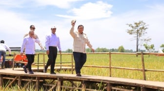 Litbang Kompas: Masyarakat Puas dengan Kinerja Kementan, Produksi Meningkat, Stok Beras Berlimpah