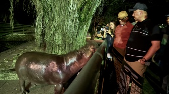 Perdana Buka Wisata Malam, Ragunan Langsung Diserbu Ribuan Pengunjung!