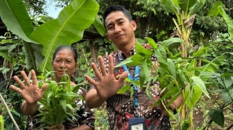 HBAP Harumkan Nama Indonesia Lewat Program Hijau Agribisnis Pekarangan di Kancah Dunia
