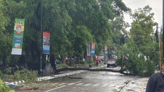Fakta-Fakta Tragedi Pohon Tumbang di Cibinong: Satu Keluarga Jadi Korban, Balita Alami Luka Serius