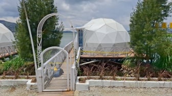 Aktivitas "Glamping Maut" di Alahan Panjang Dihentikan, Wabup Solok: Melanggar Kami Tutup Permanen!