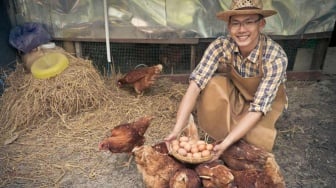 4 Cara Ternak Ayam Kampung untuk Pemula, Dijamin Menguntungkan!