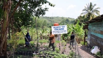 Pela Jage Bande Kite: Saat PT Bukit Asam Ajak Warga Bersedekah untuk Alam Lewat Program Utun